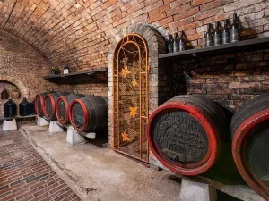 Prodej ostatní, Velké Bílovice