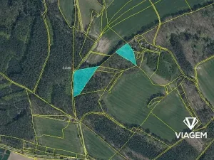 Prodej podílu lesa, Snědovice, 4193 m2