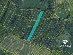 Prodej podílu lesa, Prštice, 1259 m2