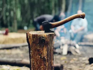 Prodej podílu lesa, Tichá, 6435 m2