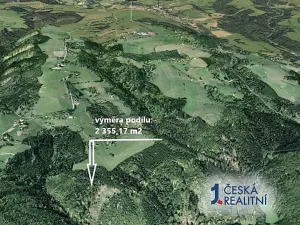 Prodej podílu lesa, Cotkytle, 2355 m2