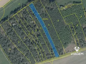 Prodej podílu lesa, Koloveč, 718 m2