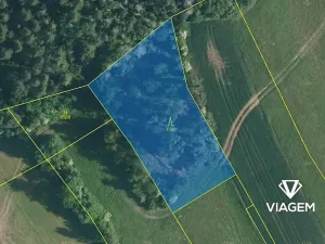 Prodej podílu lesa, Kuřimská Nová Ves, 1166 m2