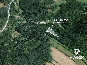 Prodej podílu lesa, Kuřimská Nová Ves, 8824 m2