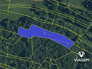 Prodej podílu lesa, Lidečko, 1248 m2