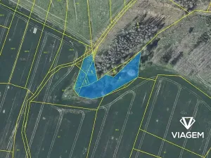 Prodej podílu lesa, Radošovice, 683 m2