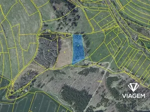 Prodej podílu lesa, Radošovice, 1094 m2