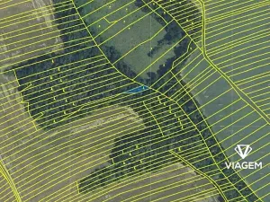 Prodej lesa, Kudlovice, 316 m2