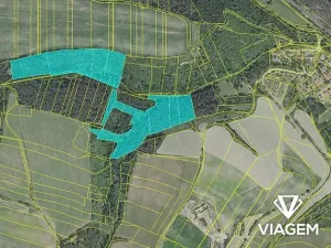 Prodej podílu lesa, Chlum, 8736 m2