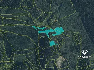 Prodej podílu lesa, Janová, 1920 m2
