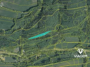 Prodej lesa, Bratřejov, 4091 m2