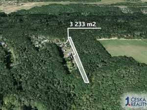 Prodej lesa, Vráž, 3233 m2