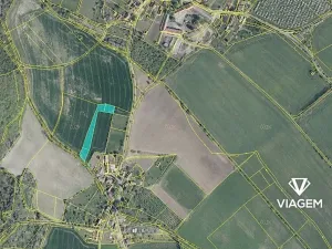 Prodej podílu pole, Třebenice, 1072 m2