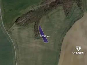 Prodej podílu pole, Kluky, 1116 m2