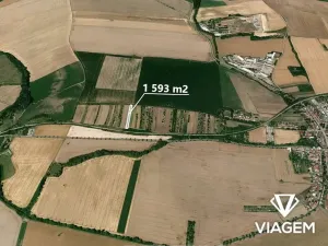 Prodej zahrady, Němčice nad Hanou, 1593 m2