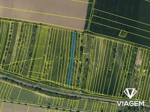 Prodej zahrady, Němčice nad Hanou, 1593 m2