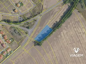 Prodej pole, Veltrusy, 2769 m2