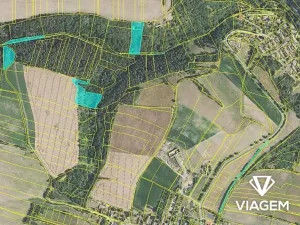 Prodej podílu pole, Chlum, 3651 m2