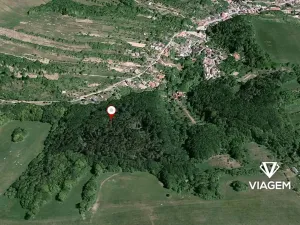 Prodej podílu lesa, Košíky, 8165 m2