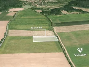 Prodej pole, Kostelec nad Černými lesy, 10245 m2