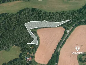 Prodej podílu lesa, Čím, 2849 m2