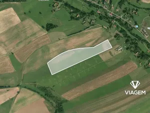 Prodej podílu pole, Otovice, 29490 m2