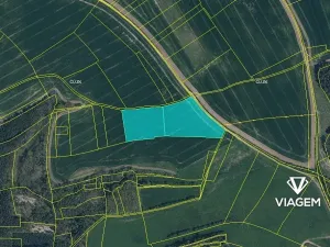 Prodej podílu pole, Štětí, 7088 m2