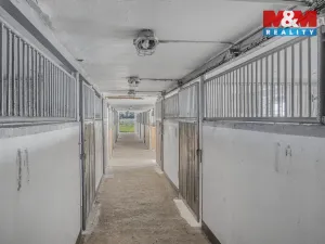 Prodej zemědělské usedlosti, Kostomlaty nad Labem - Rozkoš, 360 m2