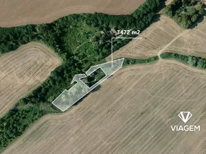 Prodej zahrady, Nesuchyně, 3472 m2