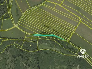 Prodej podílu lesa, Městečko Trnávka, 3311 m2