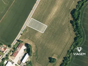 Prodej podílu pole, Labuty, 801 m2