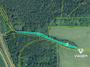 Prodej lesa, Svojšín, 3555 m2