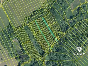 Prodej lesa, Kelníky, 6765 m2