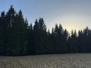 Prodej podílu lesa, Stará Paka, 4610 m2