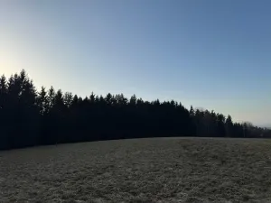 Prodej podílu lesa, Stará Paka, 4610 m2