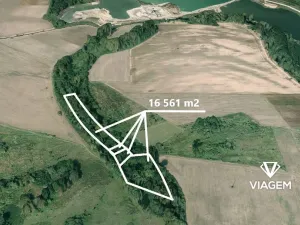 Prodej podílu lesa, Kostelec nad Labem, 1380 m2