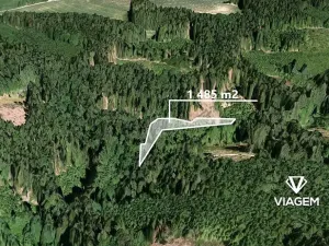 Prodej podílu lesa, Vysoké nad Jizerou, 742 m2