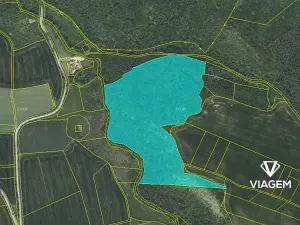 Prodej podílu lesa, Suchomasty, 10818 m2