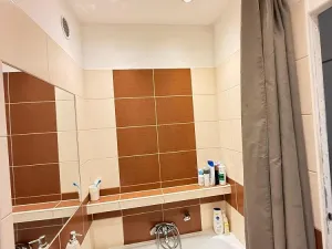 Pronájem bytu 1+1, Ostrava - Poruba, Vincence Makovského, 38 m2