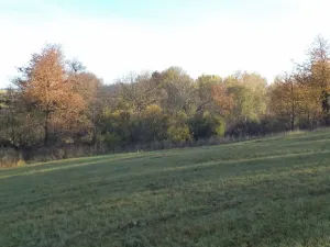 Prodej pozemku, Budišov nad Budišovkou, 60778 m2