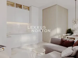 Prodej bytu 2+kk, Praha - Nové Město, Wenzigova, 41 m2