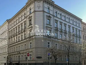 Prodej bytu 2+kk, Praha - Nové Město, Wenzigova, 51 m2