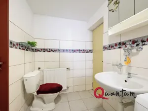 Prodej rodinného domu, Ústrašice, 135 m2