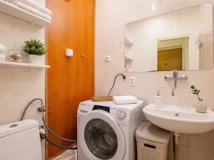 Pronájem bytu 1+1, Brno, Antonínská, 34 m2