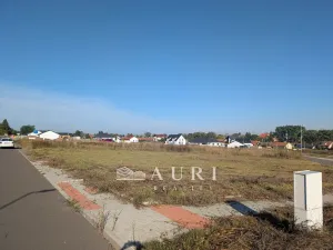 Prodej pozemku pro bydlení, Olešná, 1130 m2