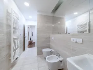 Prodej bytu 2+kk, Praha - Staré Město, Dlouhá, 72 m2