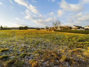 Prodej pozemku pro bydlení, Všejany, Polní, 5617 m2