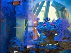 Prodej restaurace, Kvilda, 253 m2