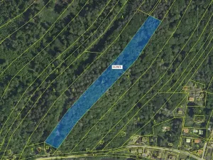 Dražba lesa, Stříbrná Skalice, 10096 m2