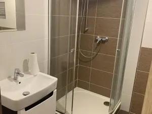 Pronájem bytu 1+kk, České Budějovice, Zavadilka, 31 m2